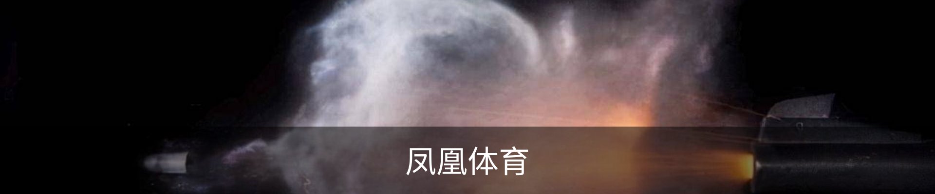 凤凰体育